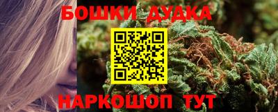 ECSTASY Обь
