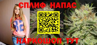 ECSTASY Обь
