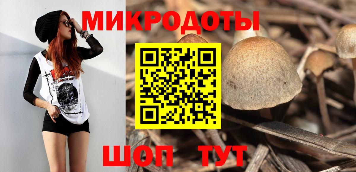 Псилоцибиновые грибы ЛСД  Псилоцибиновые грибы GOLDEN TEACHER  Новодвинск  Вход с VPN 