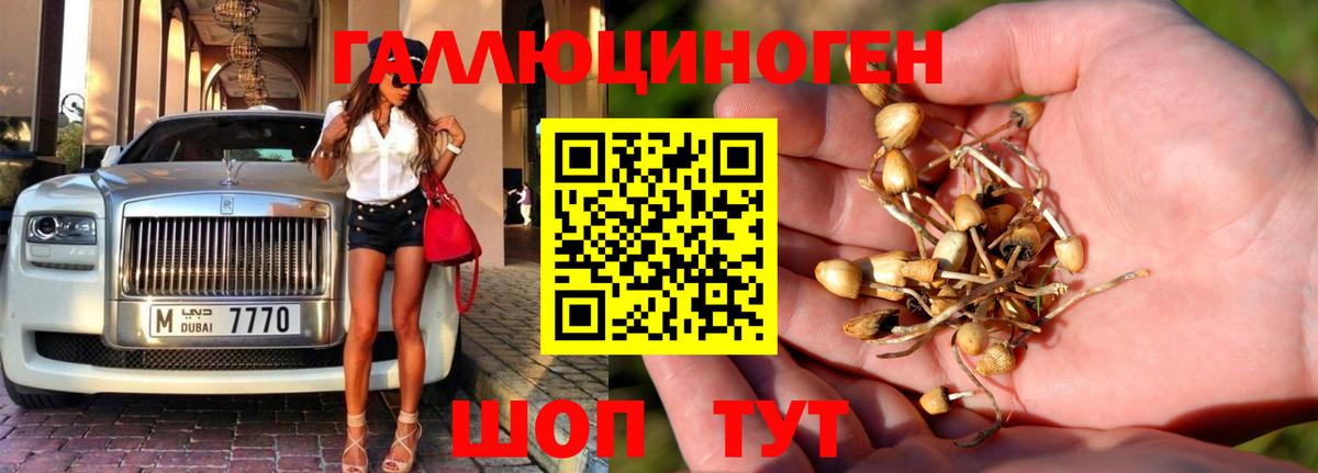 Галлюциногенные грибы Magic Shrooms Новодвинск